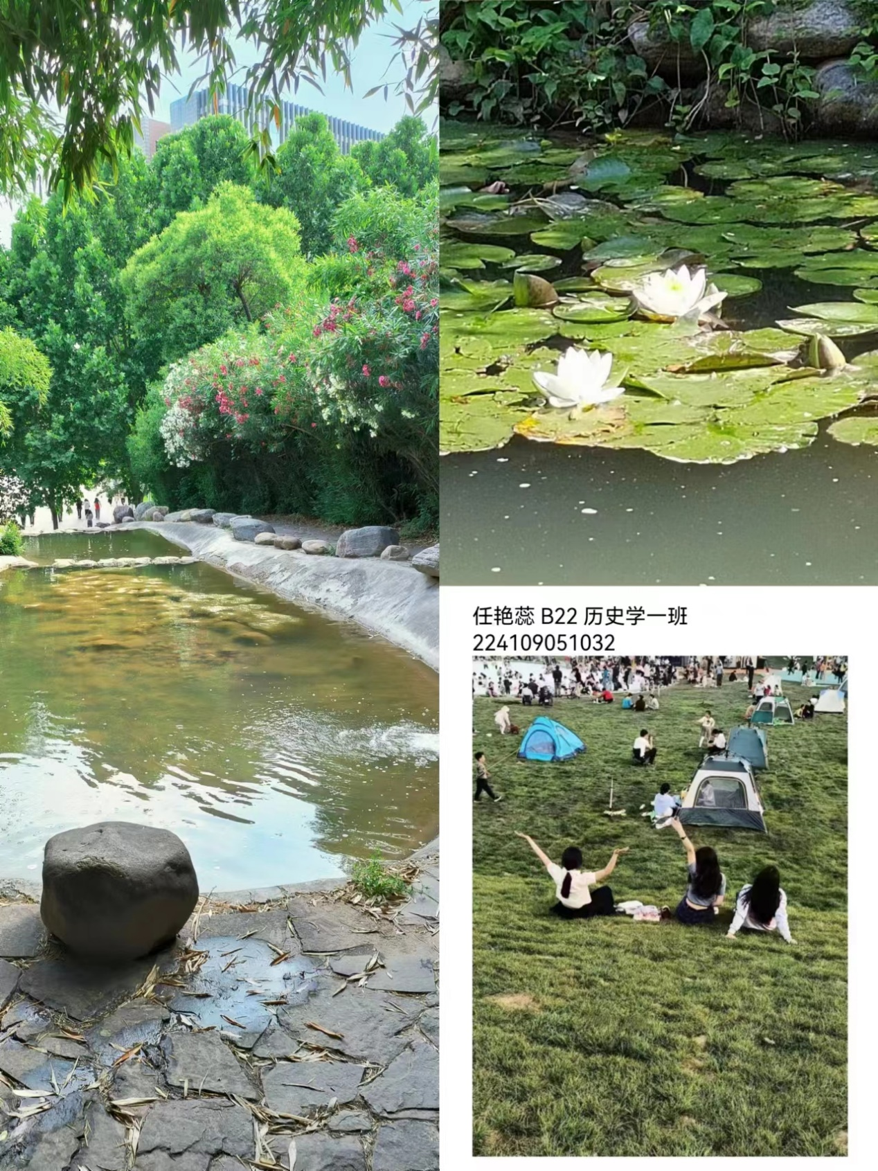 图片39.png