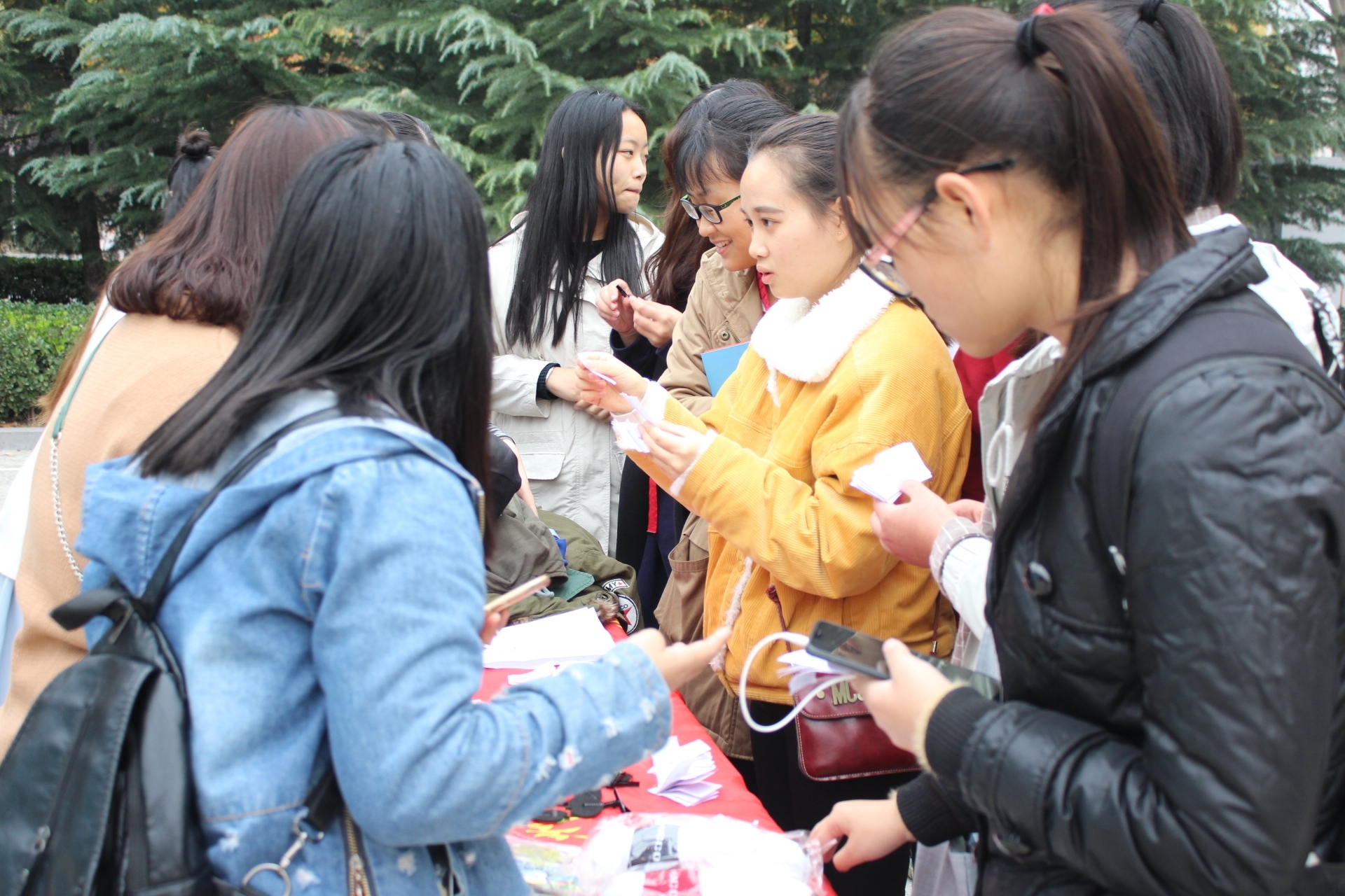 IMG_7212.JPG IMG_7212.JPG