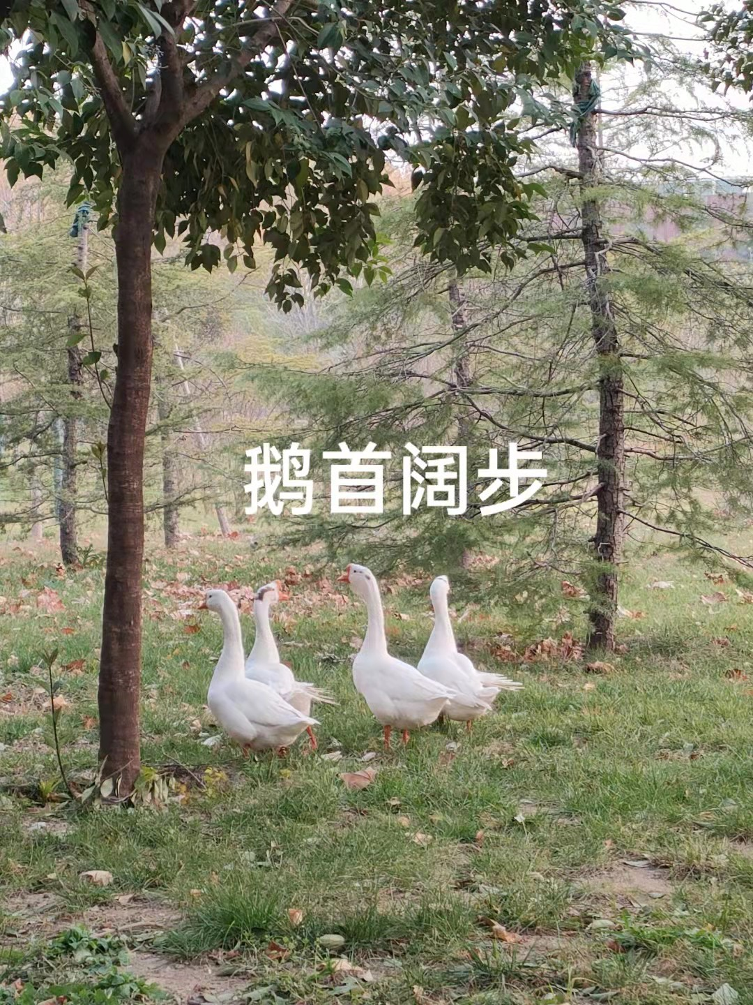 图片2.png 图片2.png