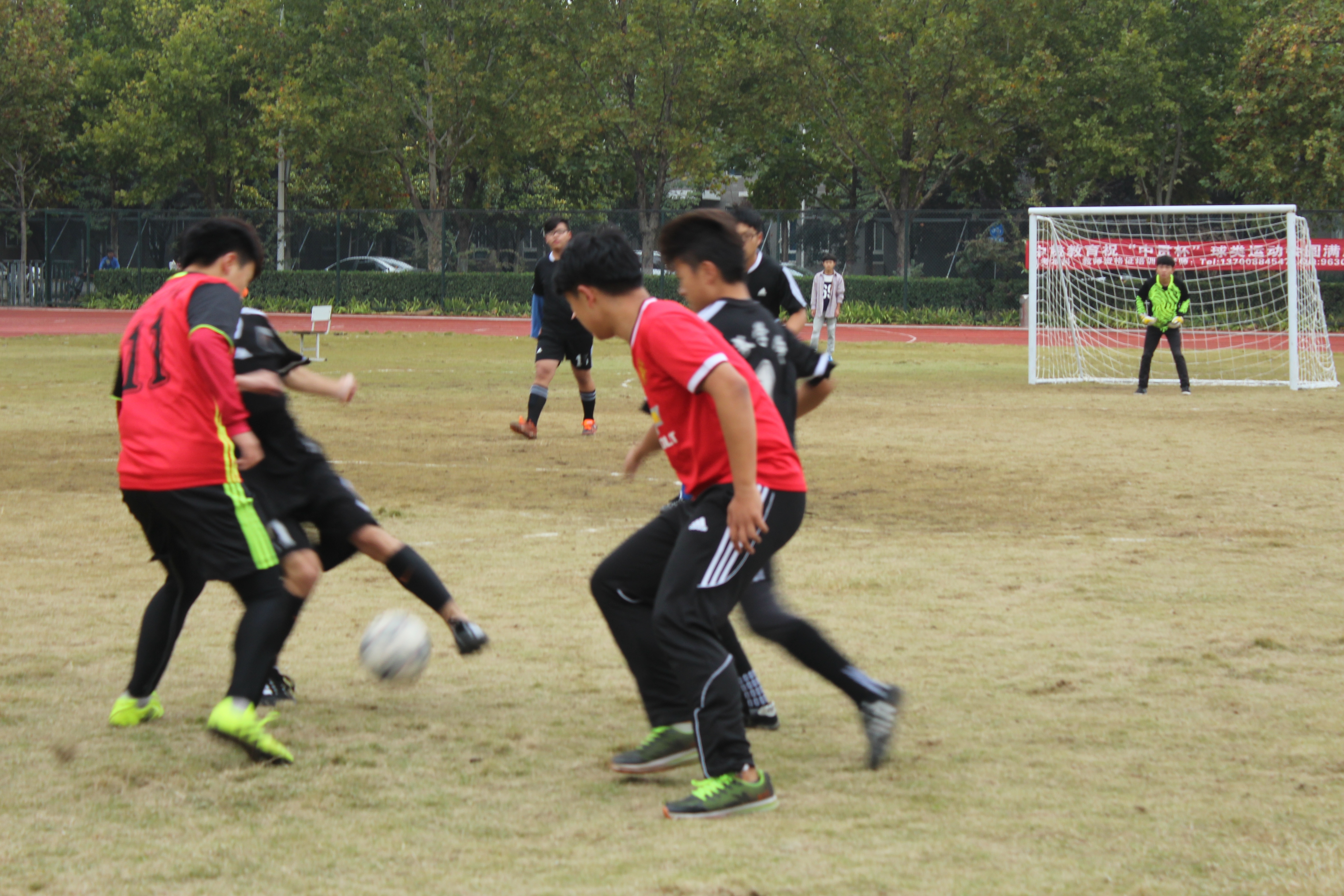 IMG_3987.JPG IMG_3987.JPG