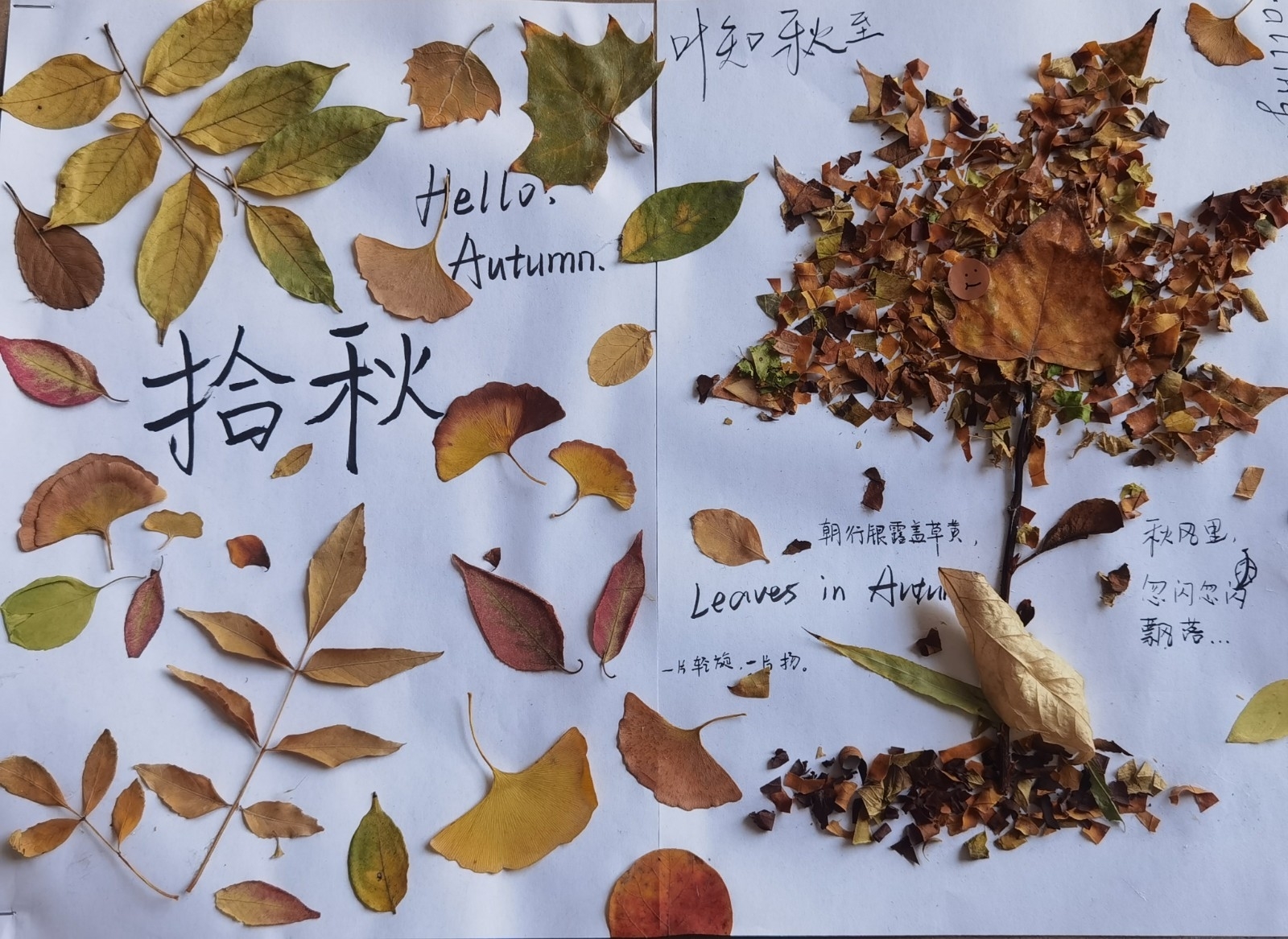 活动照片 (2)(1).jpg