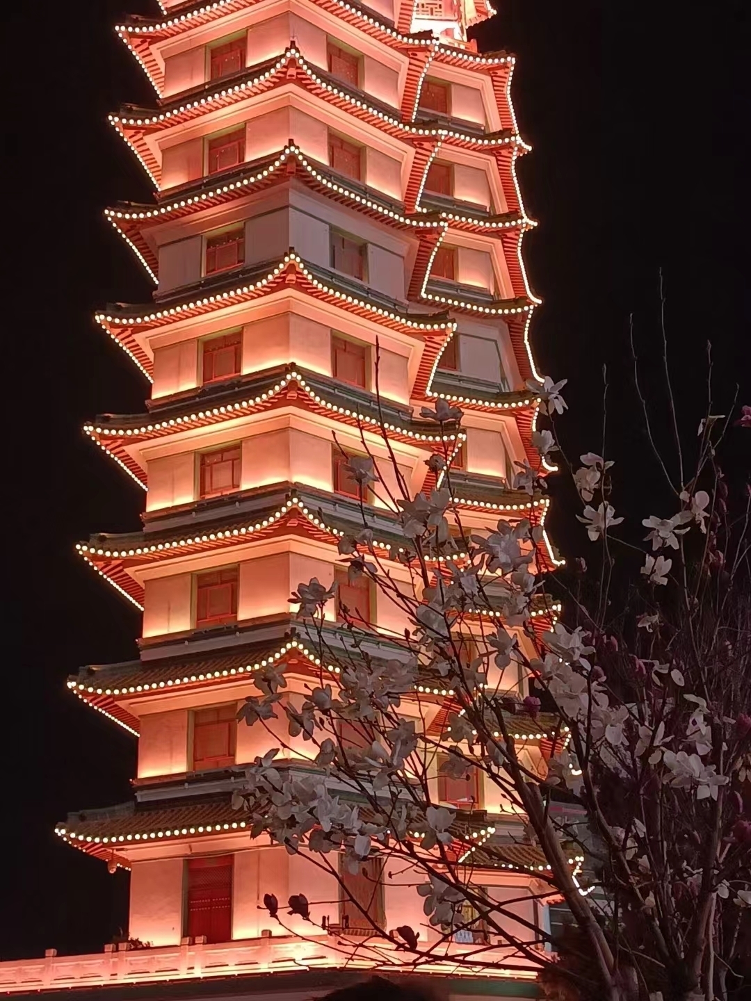 微信图片_20240407191256.jpg 微信图片_20240407191256.jpg