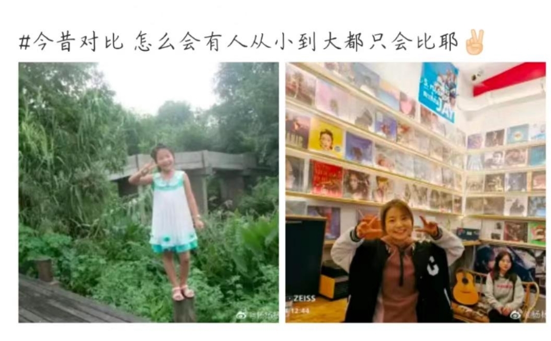 文管杨林溪(1).bmp